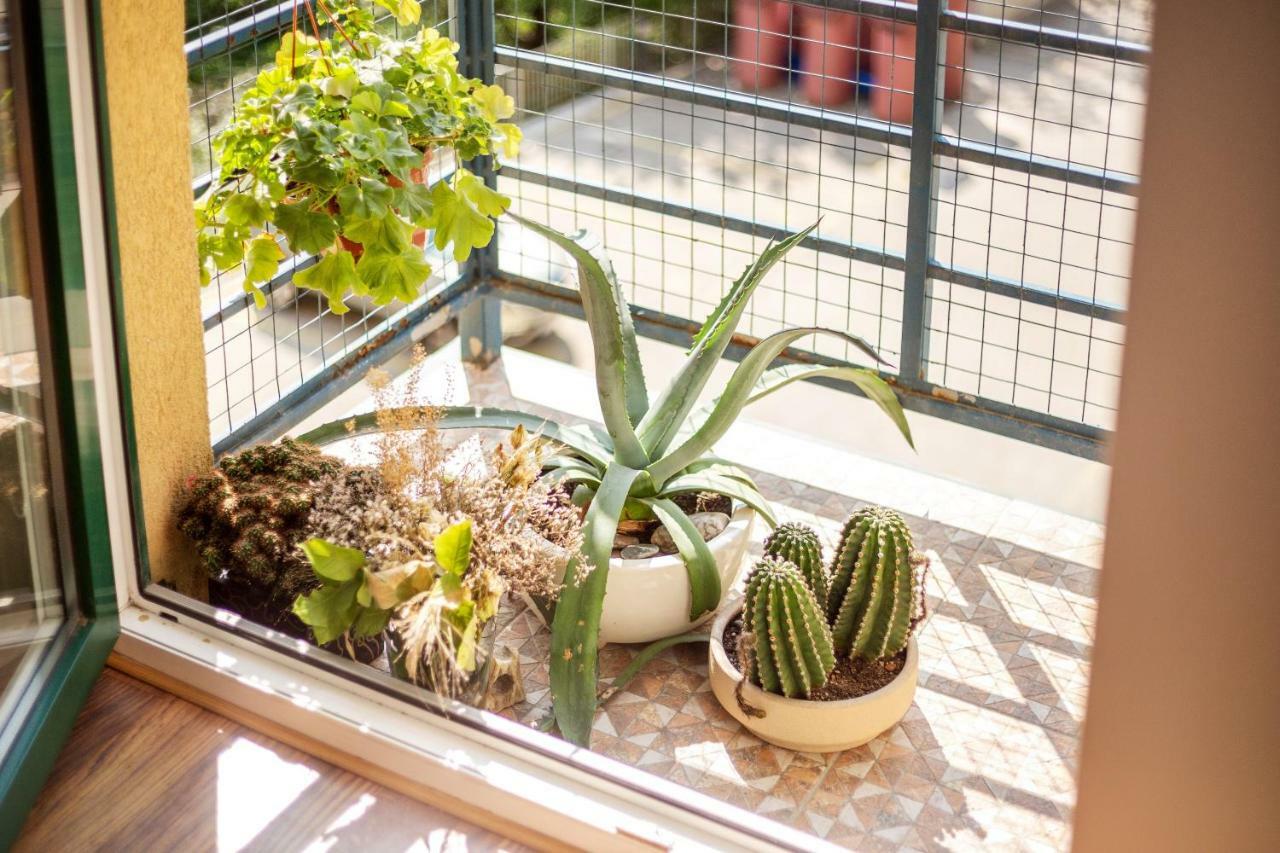 #Stayhere - Spacious & Bright 1Bdr Apartment Shopping District VNO Esterno foto
